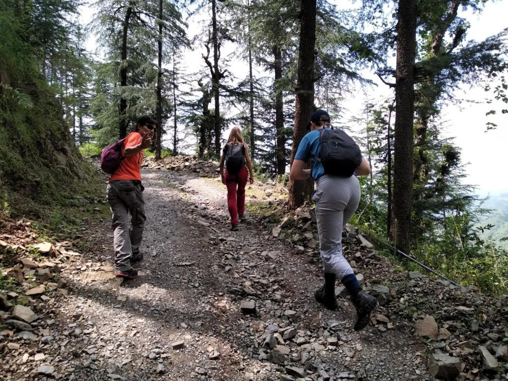 entry at hotel hassan valley retreat in shimla hotel_Image