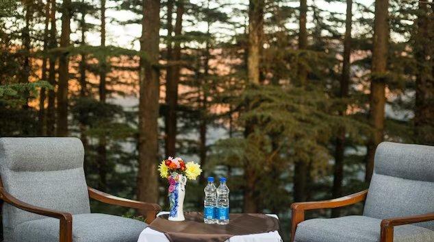 facade and sofa at staybook hotel woodrina by eco hospitality in shimla hotel_Image