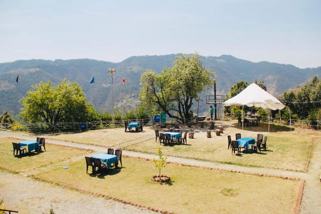 garden view at Snowdrop Eco Resort in chail hotel_Image