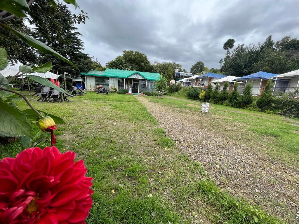cottage view at Snowdrop Eco Resort in chail hotel_Image