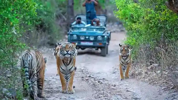 Jim Corbett Jim Corbett